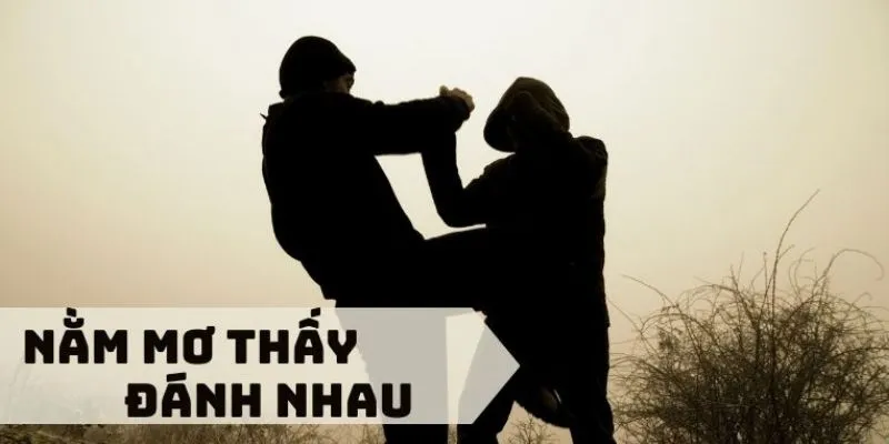 Mơ thấy đánh nhau - Sự liên kết giữa giấc mơ và các con số 3 Mơ đánh nhau với người thân có ý nghĩa gì?